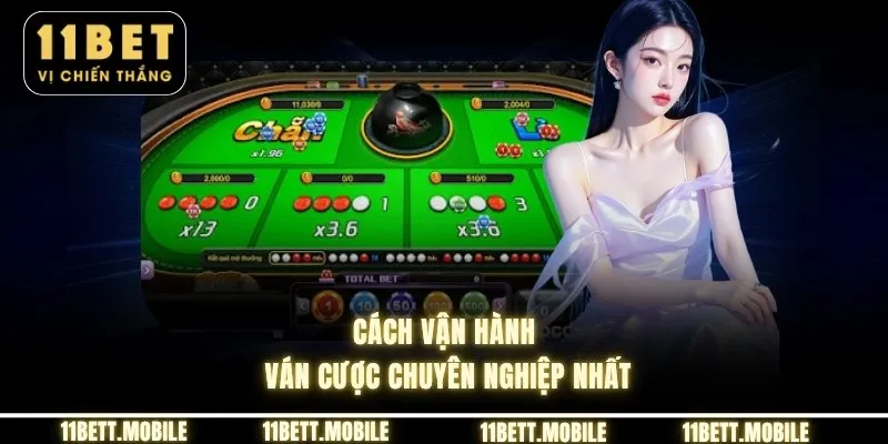 Cách vận hành ván cược chuyên nghiệp nhất