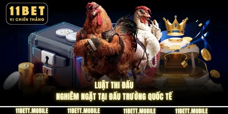 Luật thi đấu nghiêm ngặt tại đấu trường quốc tế