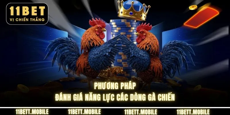Phương pháp đánh giá năng lực các dòng gà chiến