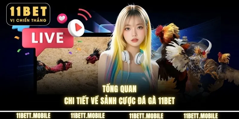 Tổng quan chi tiết về sảnh cược đá gà 11bet